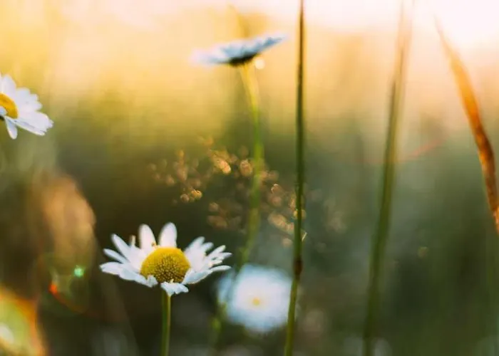 Frankenblick Werrapark * Masserberg